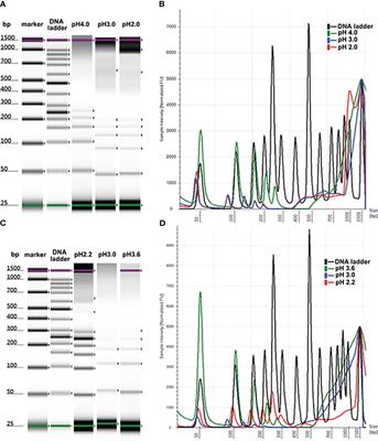 Ampholytic ion-exchange magnetic beads: a promising tool for selecting short fragments in circulating cell-free DNA analysis